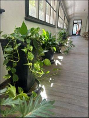 The Riverine Club Уогга-Уогга Экстерьер фото